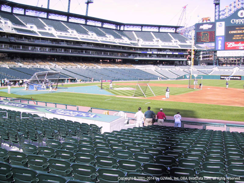 Comerica Park Section 119 view